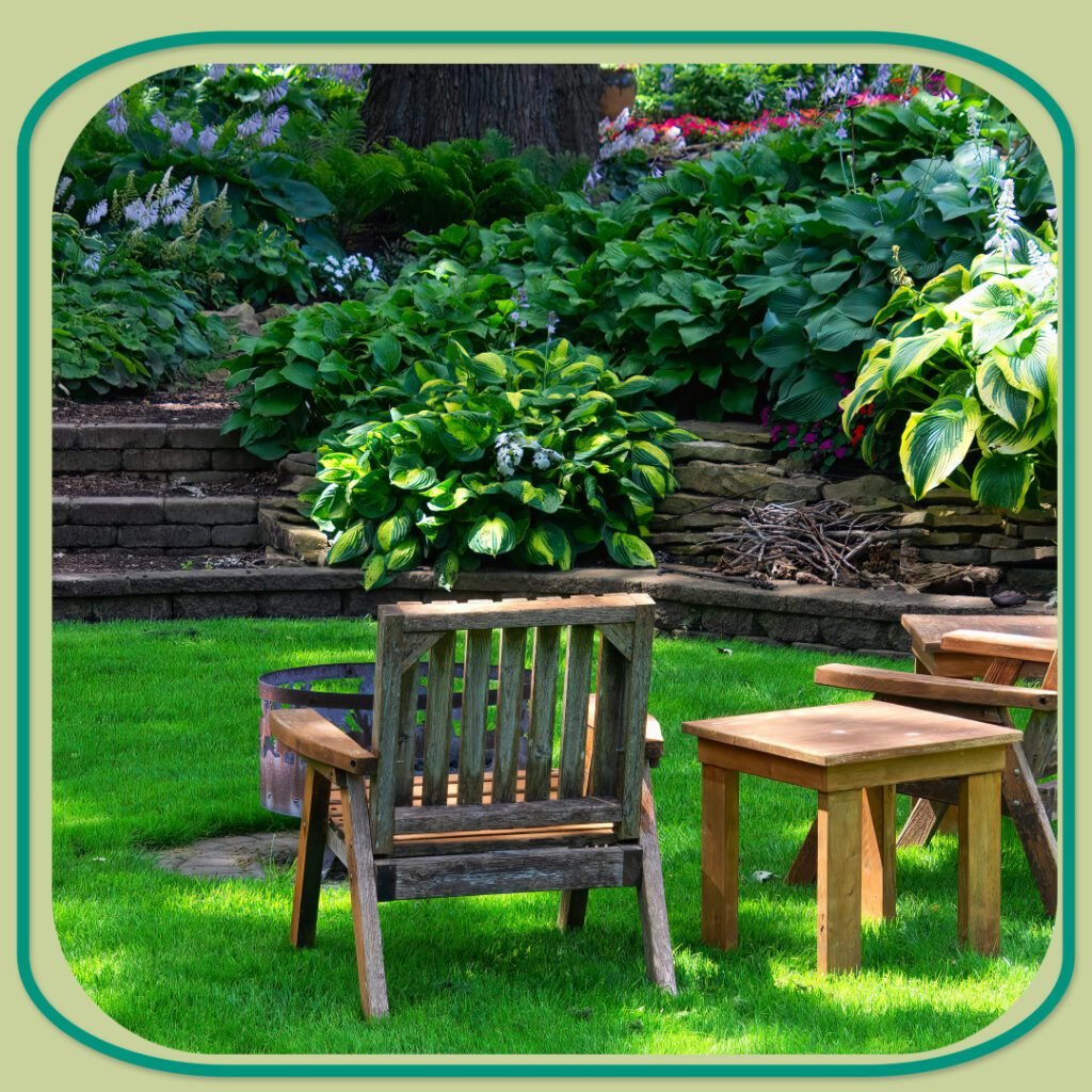 Blog Shrubs 7