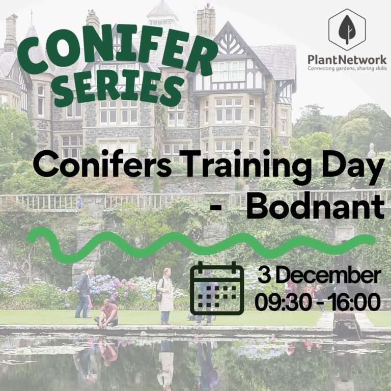 Green And Purple Modern Speakers Instagram Post (3)