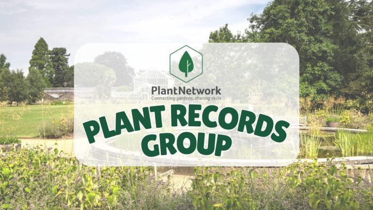 Conifers (Linkedin Post) (1)